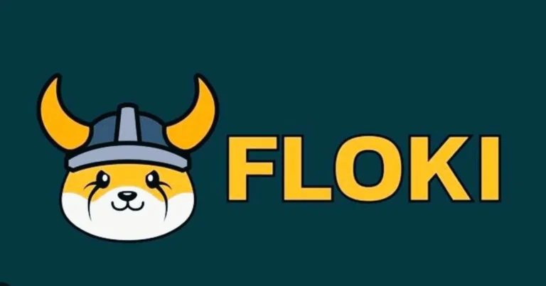 floki coin